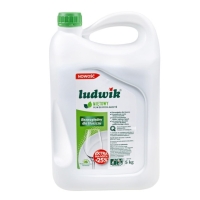Ludwik | Płyn do mycia naczyń | mięta 5L