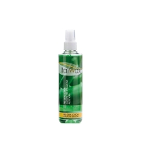 ItalWax | Lotion przed depilacją | Aloes 100ml