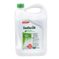 Ludwik - Płyn do mycia naczyń - mięta - 5L.webp