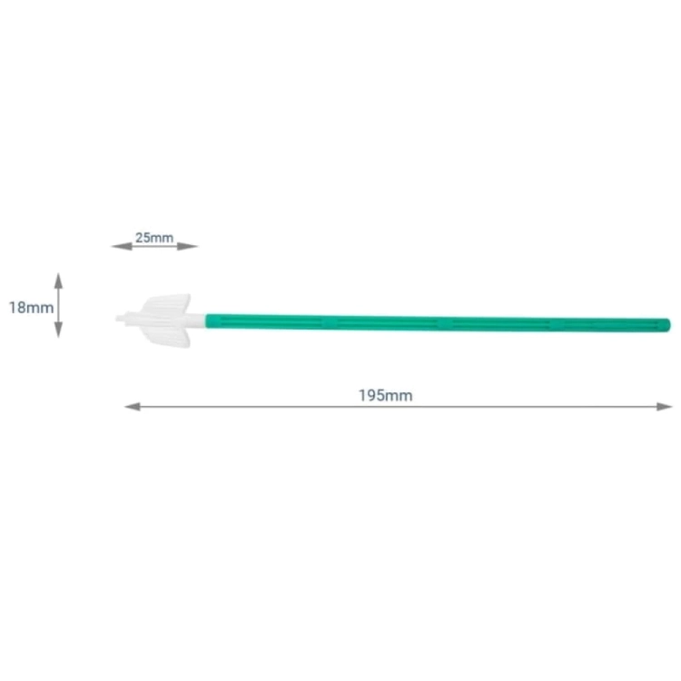 Szczoteczka cytologiczna Economy Wachlarzyk Type 2 3.webp