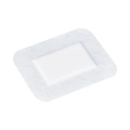 Elastopor Steril 8 x 10 cm.webp