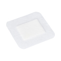 Elastopor Steril 801013 2.jpg